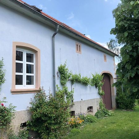 Ferienwohnung Maurer Hasborn-Dautweiler 외부 사진