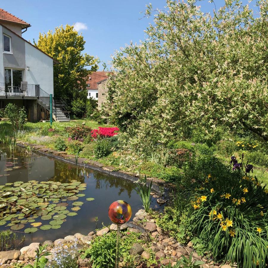 Ferienwohnung Maurer Hasborn-Dautweiler 외부 사진