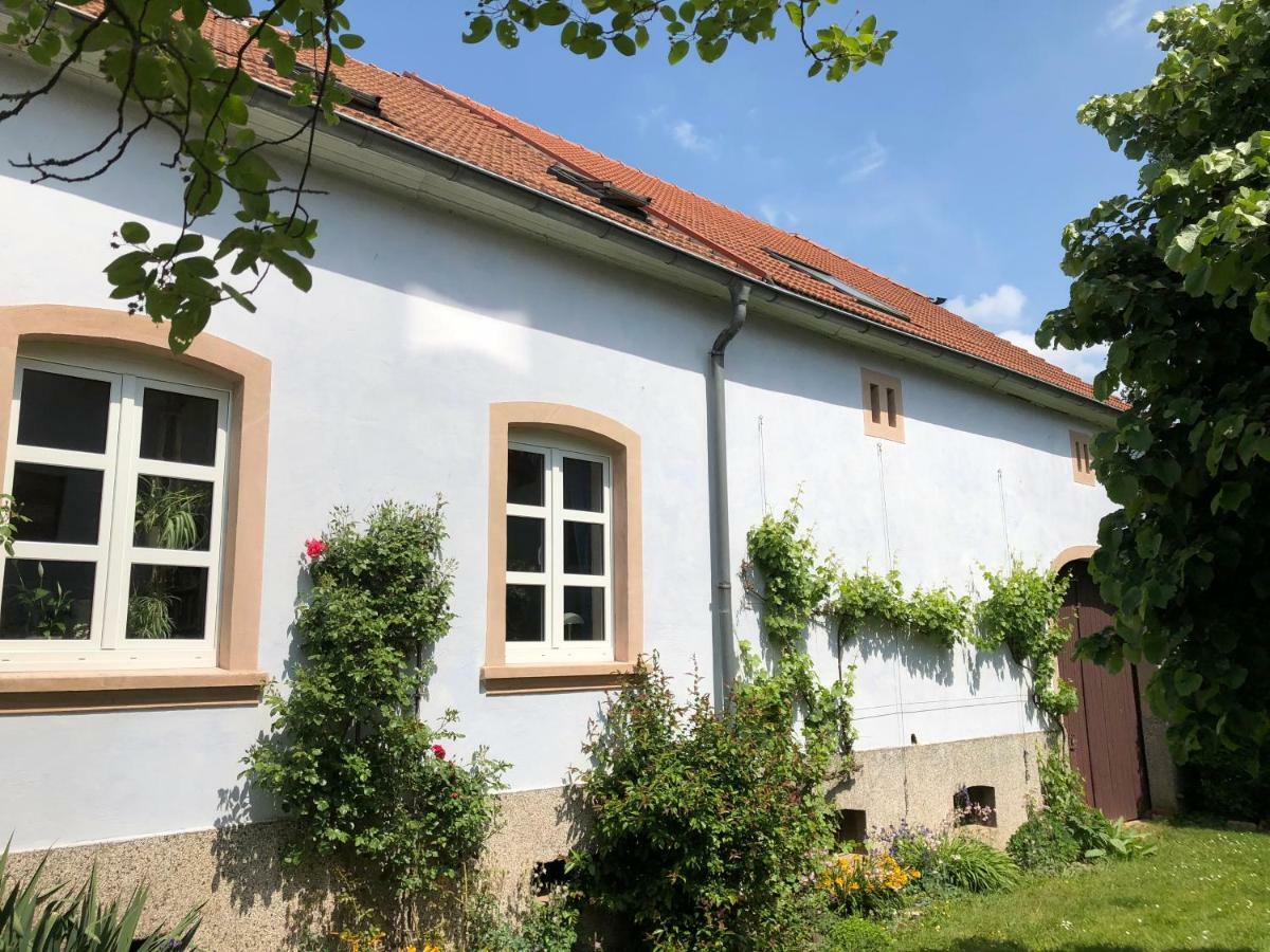 Ferienwohnung Maurer Hasborn-Dautweiler 외부 사진
