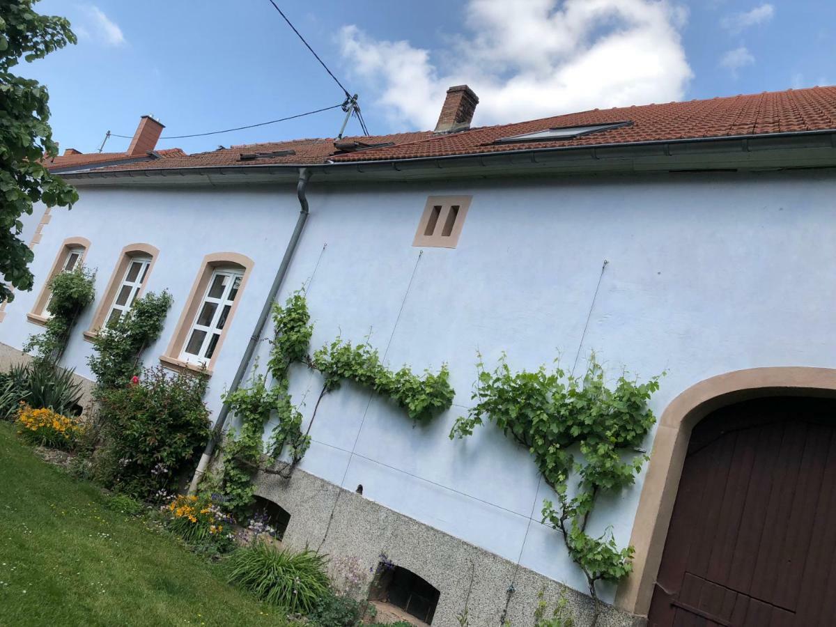 Ferienwohnung Maurer Hasborn-Dautweiler 외부 사진